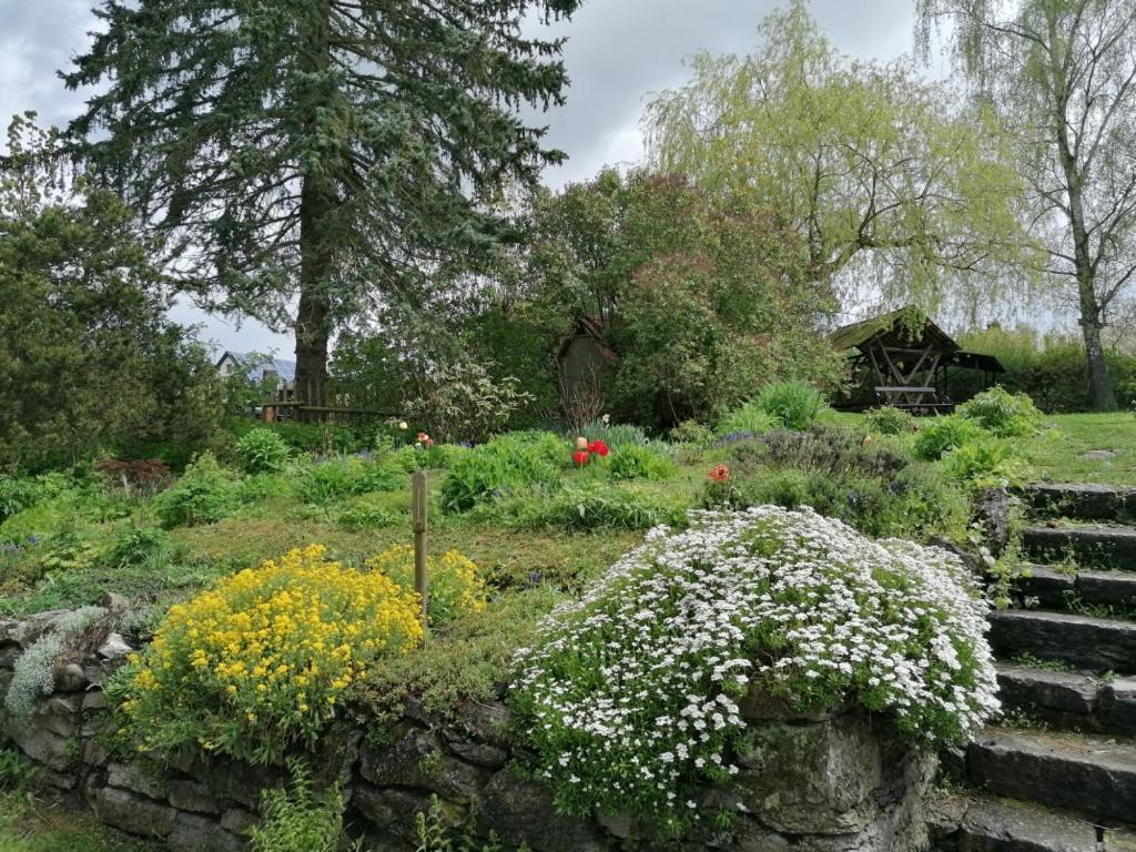 Ruestzeitenheim Sonnenschein Saalburg Esterno foto