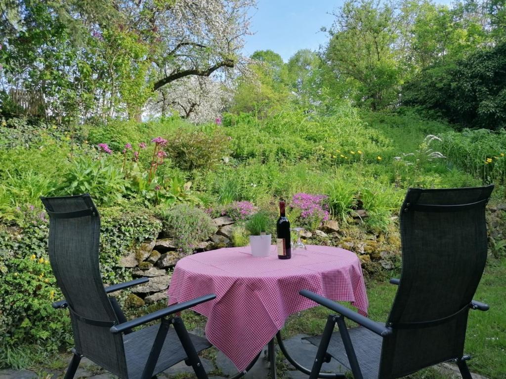 Ruestzeitenheim Sonnenschein Saalburg Esterno foto